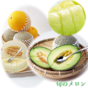 鳥取産甘～い旬のメロンセット(送料無料 ペルルメロン　タカミメロン　クレオパトラ　マルセイユメロン）