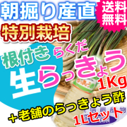 鳥取特別栽培らくだらっきょう１ｋｇと老舗のらっきょう酢1Lセット （送料無料 特産品 ご当地グルメ ご贈答品）