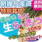 鳥取特別栽培らくだらっきょう10ｋｇとらっきょう酢7.2Lセット （送料無料 特産品 ご当地グルメ ご贈答品）