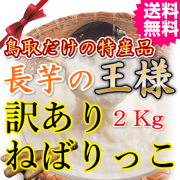 訳ありねばりっこ２ｋｇ 　送料無料