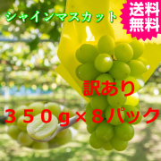 味は最高訳ありシャインマスカット８パック　送料無料（鳥取産）