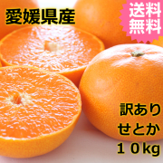 大人気愛媛産せとか　訳あり10ｋｇ