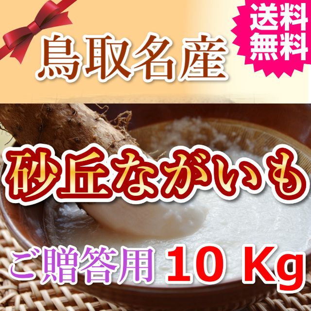 鳥取 長芋 山芋 とろろ ご飯のおとも 産地直送 産直 お取り寄せ グルメ プレゼント ギフト お歳暮 とれとれ十八番 通販