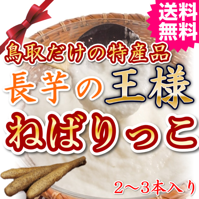 元気の源　栄養　満点　鳥取長芋の王様　ねばりっこ 　送料無料　(ご当地グルメ 特産品 ご贈答)