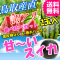 訳アリ　鳥取産　黒皮スイカと種ありスイカ　２玉 　セット　ご自宅用　