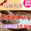 鳥取 長芋 山芋 とろろ ご飯のおとも 産地直送 産直 お取り寄せ グルメ プレゼント ギフト お歳暮 とれとれ十八番 通販