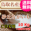 鳥取 長芋 山芋 とろろ ご飯のおとも 産地直送 産直 お取り寄せ グルメ自宅用 お試し 訳あり とれとれ十八番 通販