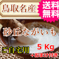 鳥取 長芋 山芋 とろろ ご飯のおとも 産地直送 産直 お取り寄せ グルメ自宅用 お試し 訳あり とれとれ十八番 通販