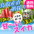 鳥取 すいか スイカ 西瓜 大栄 産地直送 産直 お取り寄せ グルメ プレゼント ギフト とれとれ十八番 お中元 進物 お取り寄せグルメ 通販
