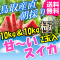 鳥取 すいか スイカ 西瓜 大栄 産地直送 産直 お取り寄せ グルメ プレゼント ギフト とれとれ十八番 お中元 進物 お取り寄せグルメ 通販