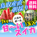 鳥取 すいか スイカ 西瓜 大栄 産地直送 産直 お取り寄せ グルメ プレゼント ギフト とれとれ十八番 お中元 進物 お取り寄せグルメ 通販