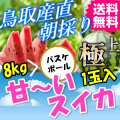鳥取 すいか スイカ 西瓜 大栄 産地直送 産直 お取り寄せ グルメ プレゼント ギフト とれとれ十八番 お中元 進物 お取り寄せグルメ 通販