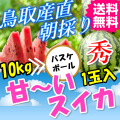 鳥取産直　朝採り甘～い大栄スイカ 秀４L　１玉 （送料無料 ご当地グルメ 特産品 名産 プレゼント ギフト 誕生日 還暦祝い 通販 贈り物 お中元 ご贈答品 快気祝い お見舞い 暑中見舞い すいか 西瓜）