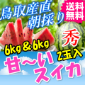 鳥取産直　朝採り甘～い大栄スイカ 秀L　２玉 (送料無料 ご当地グルメ 特産品 名産 プレゼント ギフト 誕生日 還暦祝い 通販 贈り物 お中元 ご贈答品 快気祝い お見舞い 暑中見舞い すいか 西瓜)