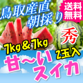 鳥取産直　朝採り甘～い大栄スイカ 秀２L　２玉 (送料無料 ご当地グルメ 特産品 名産 プレゼント ギフト 誕生日 還暦祝い 通販 贈り物 お中元 ご贈答品 快気祝い お見舞い 暑中見舞い すいか 西瓜)