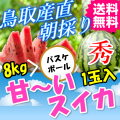 鳥取産直　朝採り甘～い大栄スイカ 秀３L　８ｋｇ　１玉（送料無料ご当地グルメ 特産品名産プレゼント ギフト誕生日還暦祝い通販贈り物お中元ご贈答品快気祝いお見舞い暑中見舞いすいか西瓜）