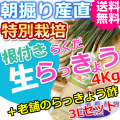 鳥取特別栽培らくだらっきょう4ｋｇと老舗のらっきょう酢3Lセット （送料無料 特産品 ご当地グルメ ご贈答品）