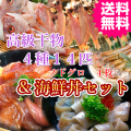 日本海産特選干物４種１４匹と秘伝の海鮮丼セットA　送料無料