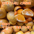 大人気愛媛産マドンナ　愛果２８号　訳あり５ｋｇ