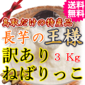 訳ありねばりっこ３ｋｇ 　送料無料
