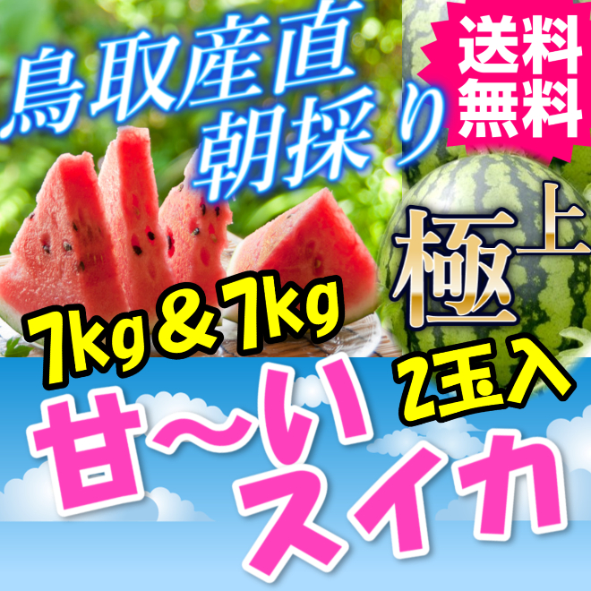 鳥取 すいか スイカ 西瓜 大栄 産地直送 産直 お取り寄せ グルメ プレゼント ギフト とれとれ十八番 お中元 進物 お取り寄せグルメ 通販