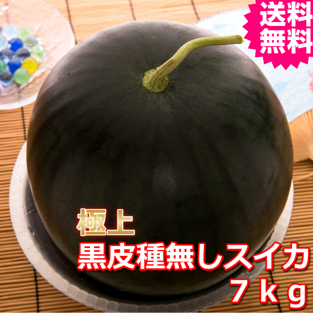 鳥取産極上黒皮種無しスイカ　２Ｌ　１玉　(送料無料　お中元）