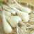 鳥取 らっきょう ラッキョウ 国産 産地直送 産直 野菜 やさい お取り寄せ グルメ プレゼント ギフト 旬 お中元 とれとれ十八番 通販