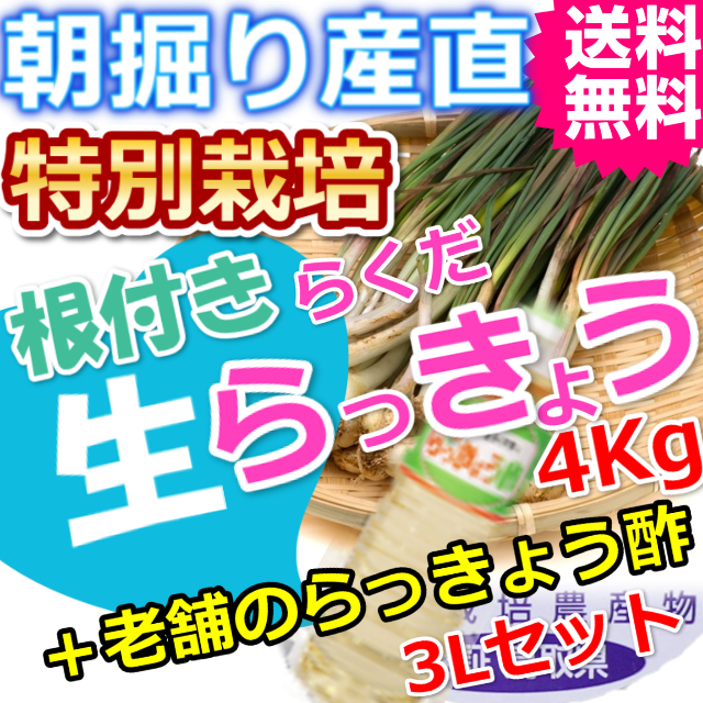 鳥取特別栽培らくだらっきょう4ｋｇと老舗のらっきょう酢3Lセット （送料無料 特産品 ご当地グルメ ご贈答品）
