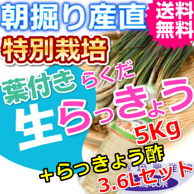 鳥取特別栽培らくだらっきょう5ｋｇとらっきょう酢3.6Lセット （送料無料 特産品 ご当地グルメ ご贈答品）