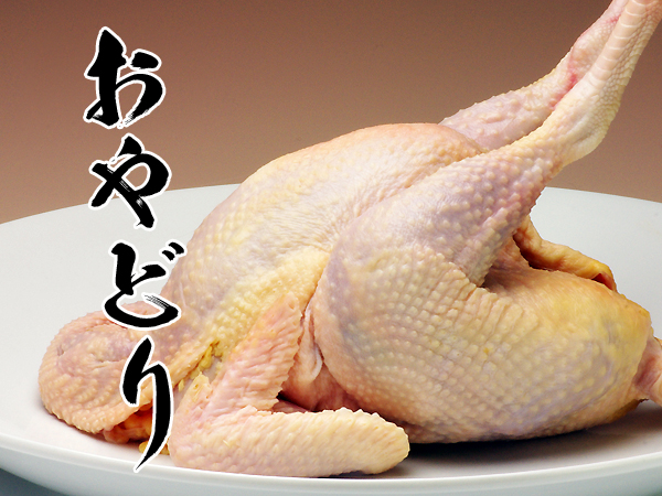 丸鶏 草母鶏 親鶏 とり肉 鶏肉 脆く チキン 冷凍食品 中抜き 