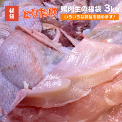 とりたけの鶏肉生の福袋 いろいろな部位詰め合わせ 3kg【冷凍】