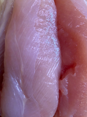 種鶏 ささみ 1kg【ささみ】