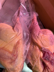 高麗キジ ２羽 静岡県産【冷凍品】