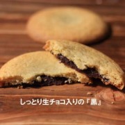 訳あり生チョコサブレ「初島ろまんす」500グラム｜【静岡県産小麦100％使用】
