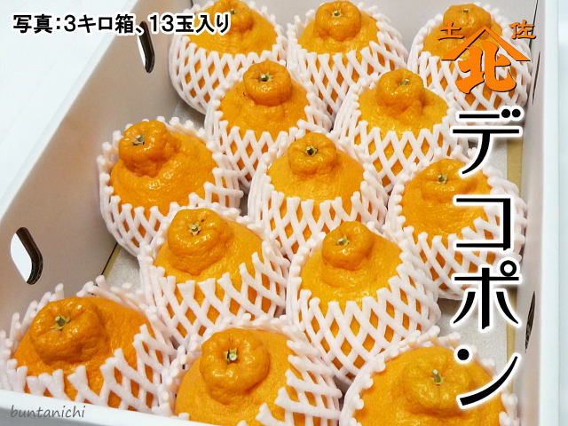 山北デコポン
