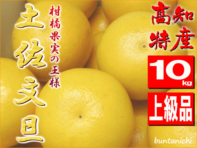 商品画像、土佐文旦