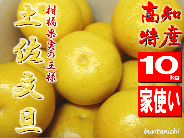 商品画像、土佐文旦