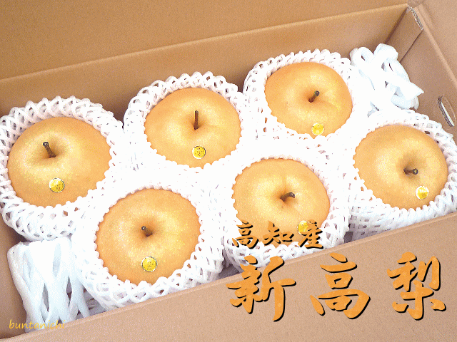 商品画像、新高梨