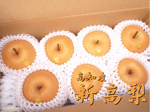 商品画像、新高梨