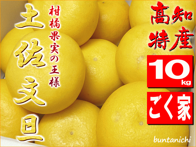 土佐文旦♪ブルトン 送料無料 土佐文旦 ブンタン 文旦 秀品 5玉 Lサイズ 1玉 約400g