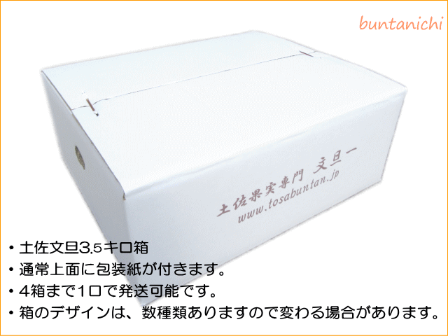 商品画像、土佐文旦