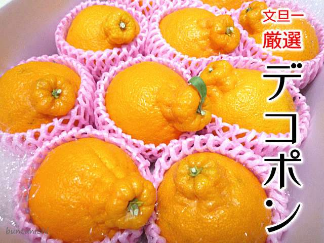 商品画像、でこぽん、しらぬい