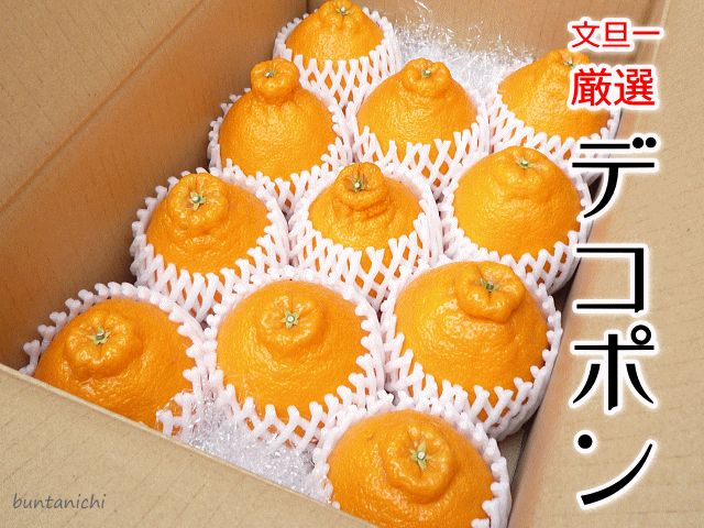 商品画像、でこぽん、しらぬい