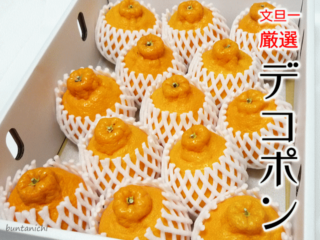 商品画像、でこぽん、しらぬい