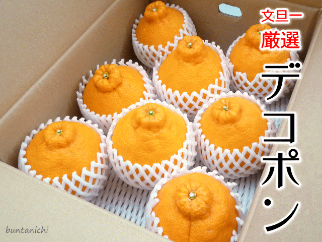 商品画像、でこぽん、しらぬい