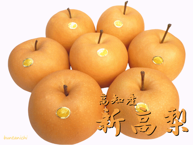 商品画像、新高梨