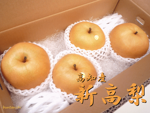 商品画像、新高梨