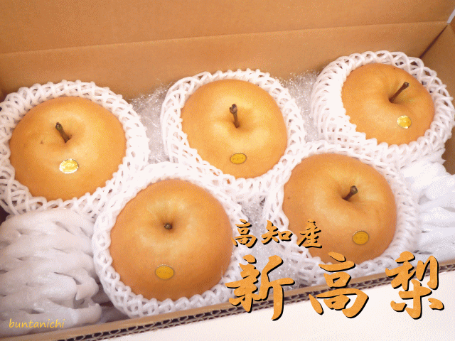 商品画像、新高梨