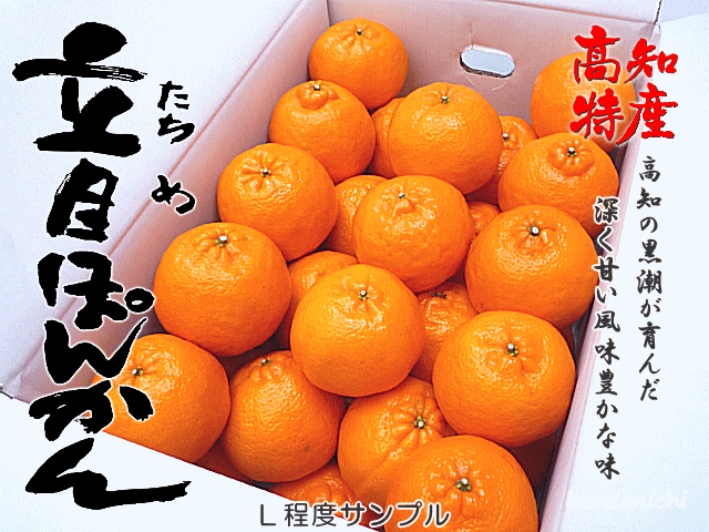 商品画像、立目ぽんかん