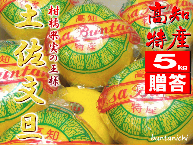 ■SOLD■・旧ID・文旦一厳選、高知特産・土佐文旦・【約５キロ・贈答用・８玉から９玉】